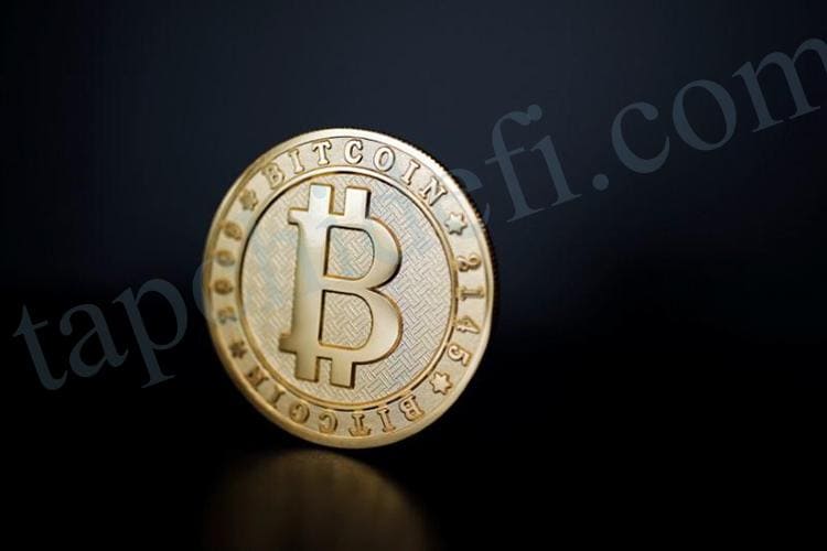 BTC Miami Conference Points Out 7 Challenges on the Road to Bitcoin Acceptance 1 BTC Miami Conference Points Out 7 Challenges on the Road