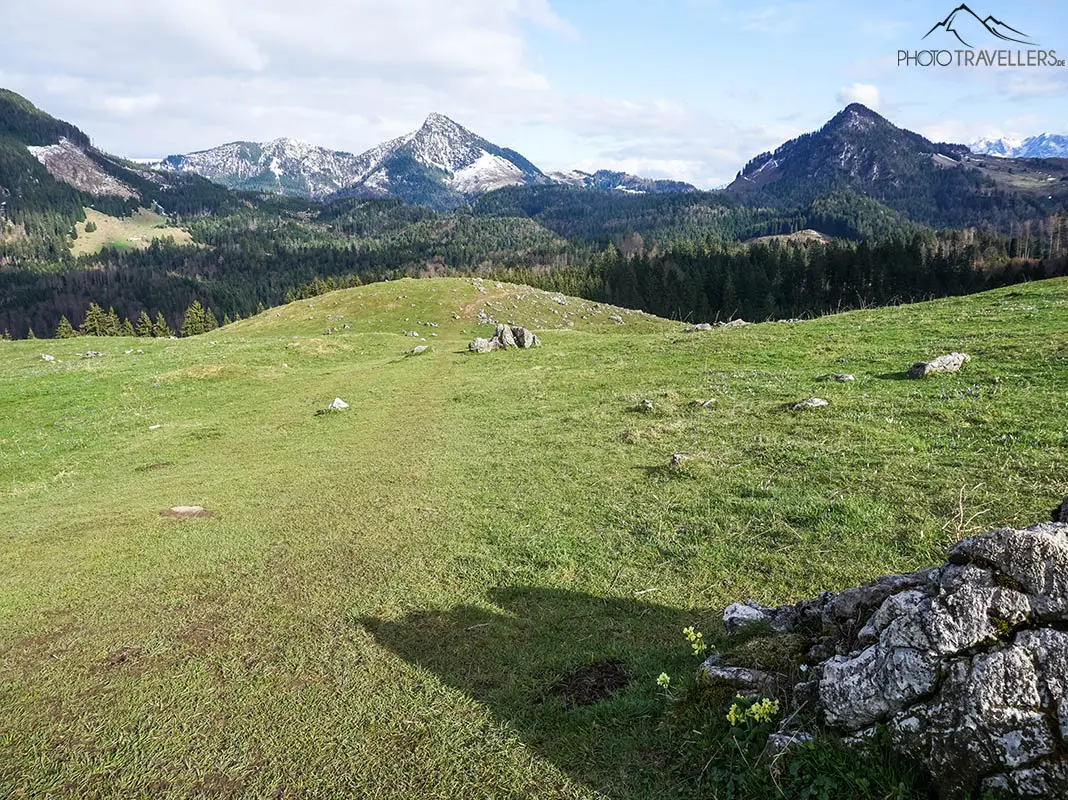 Der schöne Blick über die Daffnerwald-Almen