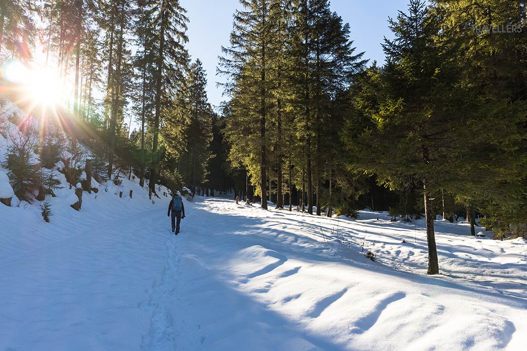 Reisebloggerin Biggi Bauer auf dem verschneiten Wanderweg zur Schwarzentenn-Alm