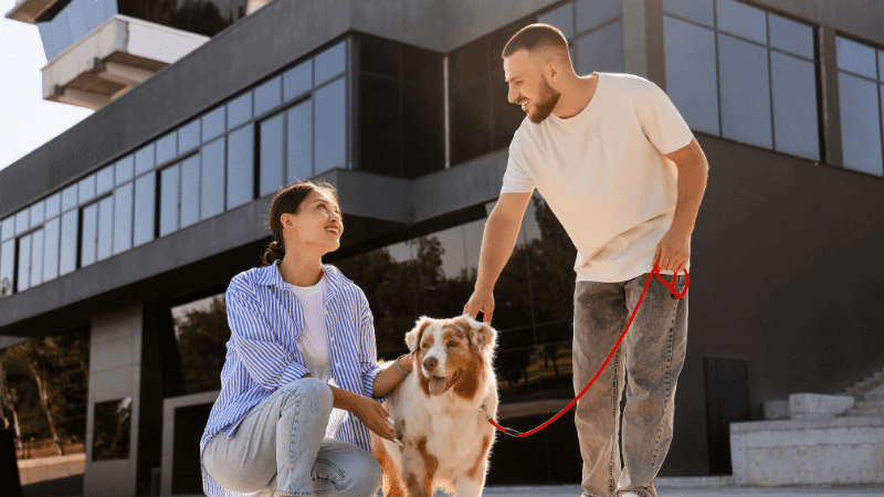 Dog and owner during cgc training at go anywhere dog