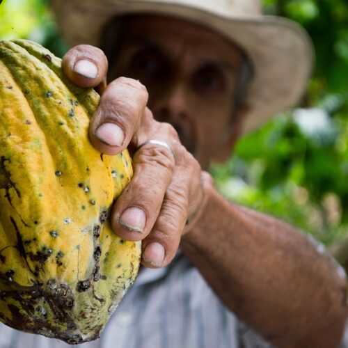 Biodiversity and supply chains