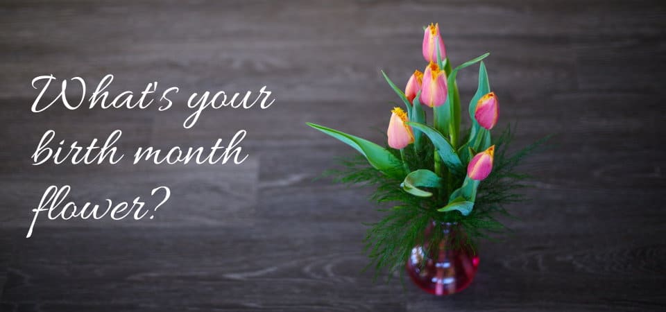 Flowers for your Birth Month