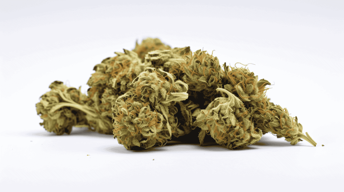 PK Trophy Strain PK Trophy Strain on a white background