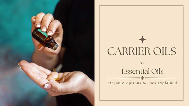 CARRIER OILS FOR ESSENTIAL OILS: ORGANIC OPTIONS & USES EXPLAINED 4 practical applications