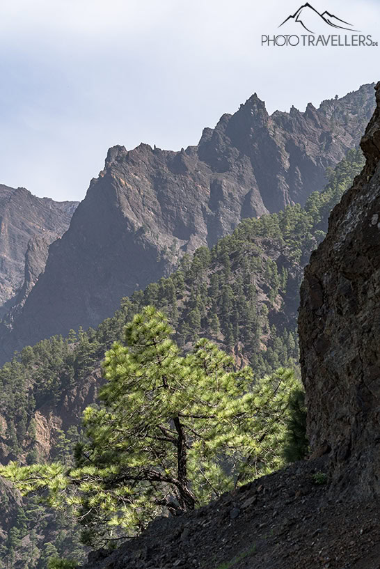 Die Caldera Taburiente im Nationalpark auf La Palma