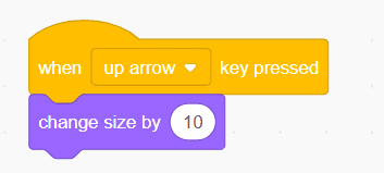 Scratch block — up arrow key increases sprite size by 10 for interactive size scaling