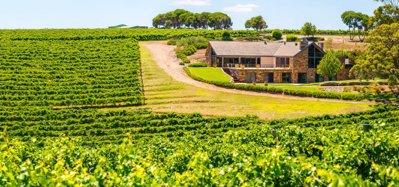 Chapel Hill Wine Club offer one of the best wine subscription services in Australia