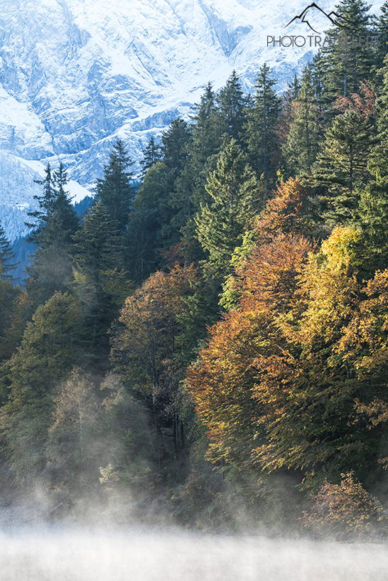 Gelbe Bäume im Herbst am Eibsee