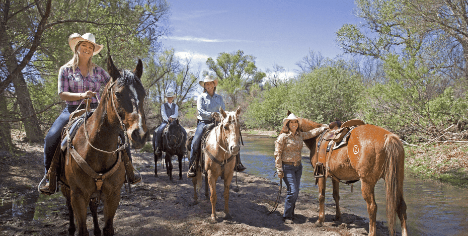 Rheinland-Pfalz, USA, Pferde, Reiten, Natur, Abenteuer, Wandern, Outdoors, Pferdetour, River, Frühlingslandschaft, Tierliebe, Ausflug, Sommer, Freizeit, Cowboys, All of USA, Westernstyle, Tiertransport, Landwirtschaft.