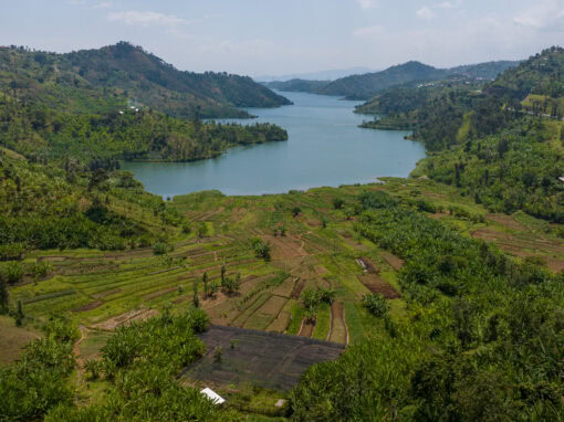 Kivu-See ist See des Jahres 2025