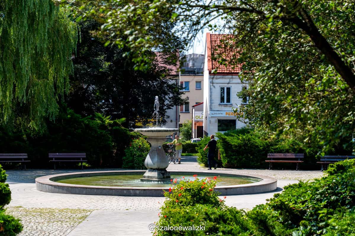 pińczów