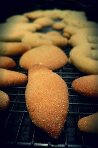 Roicos, gâteaux espagnols au vin blanc Roicos, gâteaux espagnols au vin blanc