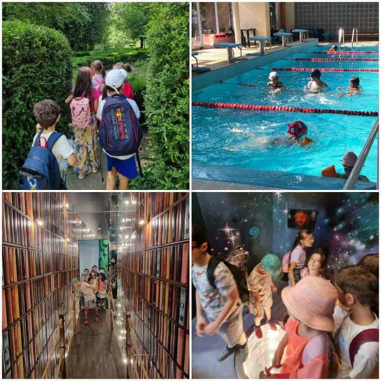 scoala de vara edufriends poze