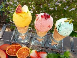 Boutique Ice Cream Cart Hire Boutique Ice Cream Cart Hire