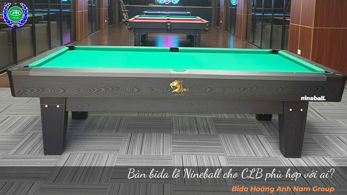 Bàn bida lỗ Nineball cho CLB phù hợp với ai?