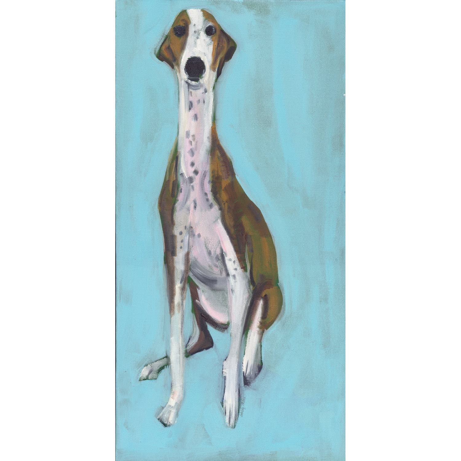 4701C Brown and White Dog on Blue Background – Sally Muir