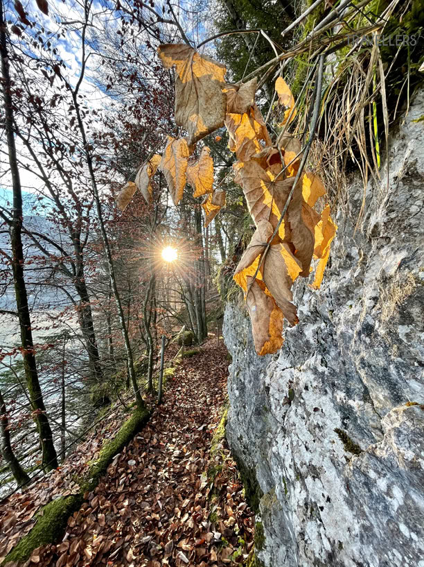 Ein Wanderweg in den Bergen mit Gegenlicht