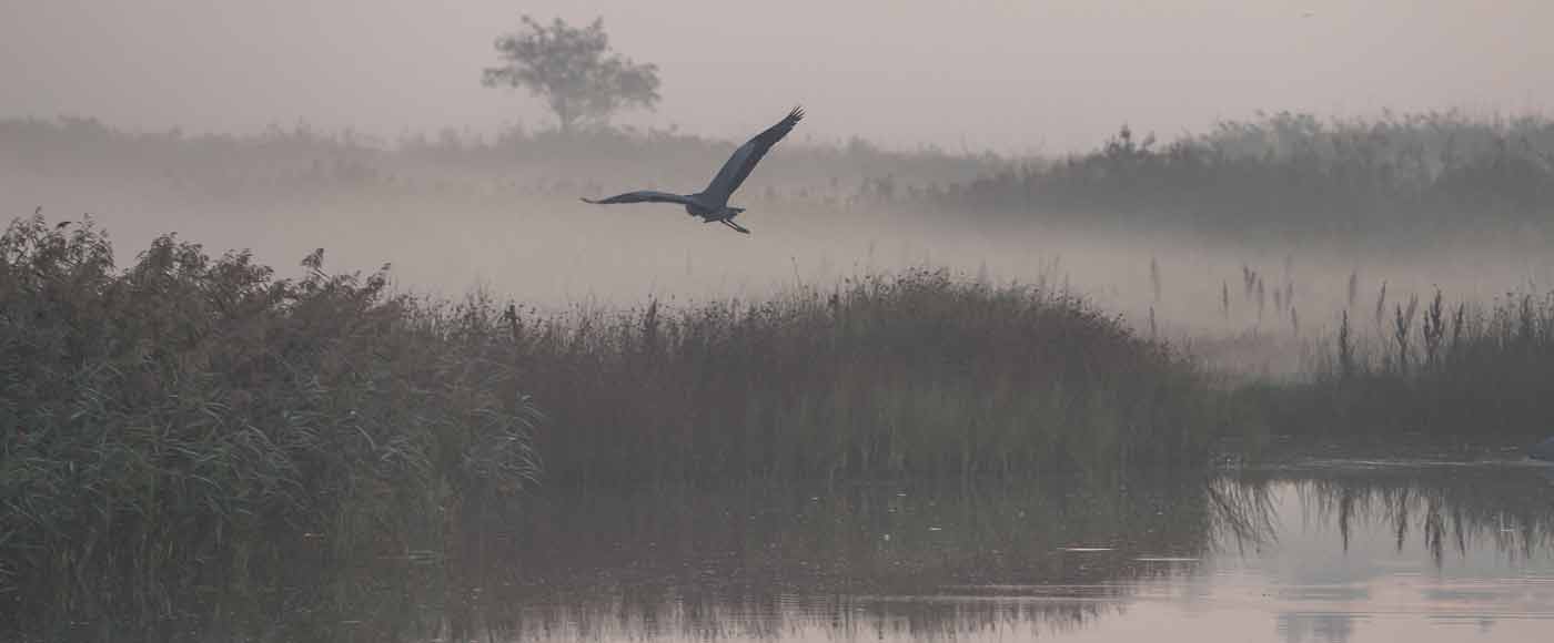 Highlights und Sehenswürdigkeiten auf Fischland-Darß-Zingst