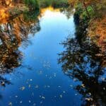 parcul sticlariei sector 2 Bucuresti lac parcul sticlariei sector 2 Bucuresti lac