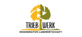 triebwerk-logo-3