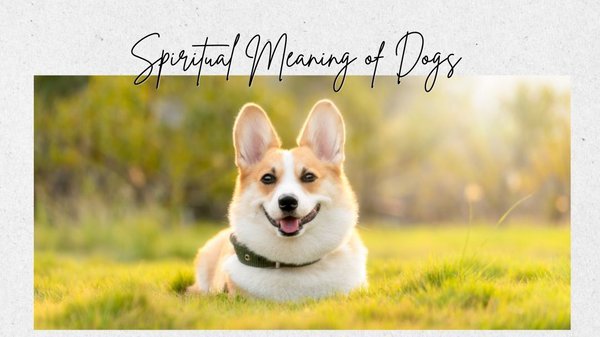spiritual meaning of dogs