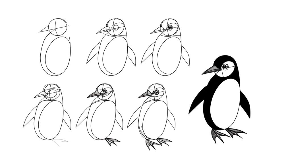 7 Steps To Draw A Realistic Penguin