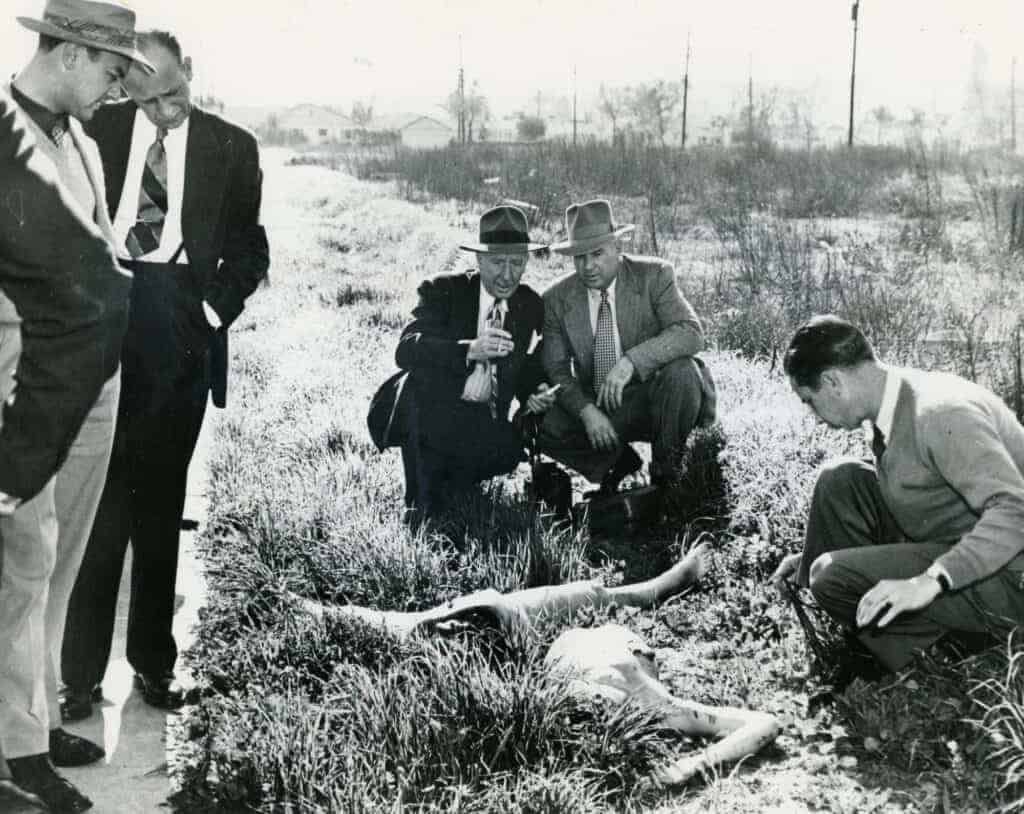 Investigators in suits and hats crouching in a weedy vacant lot in Los Angeles in 1947.