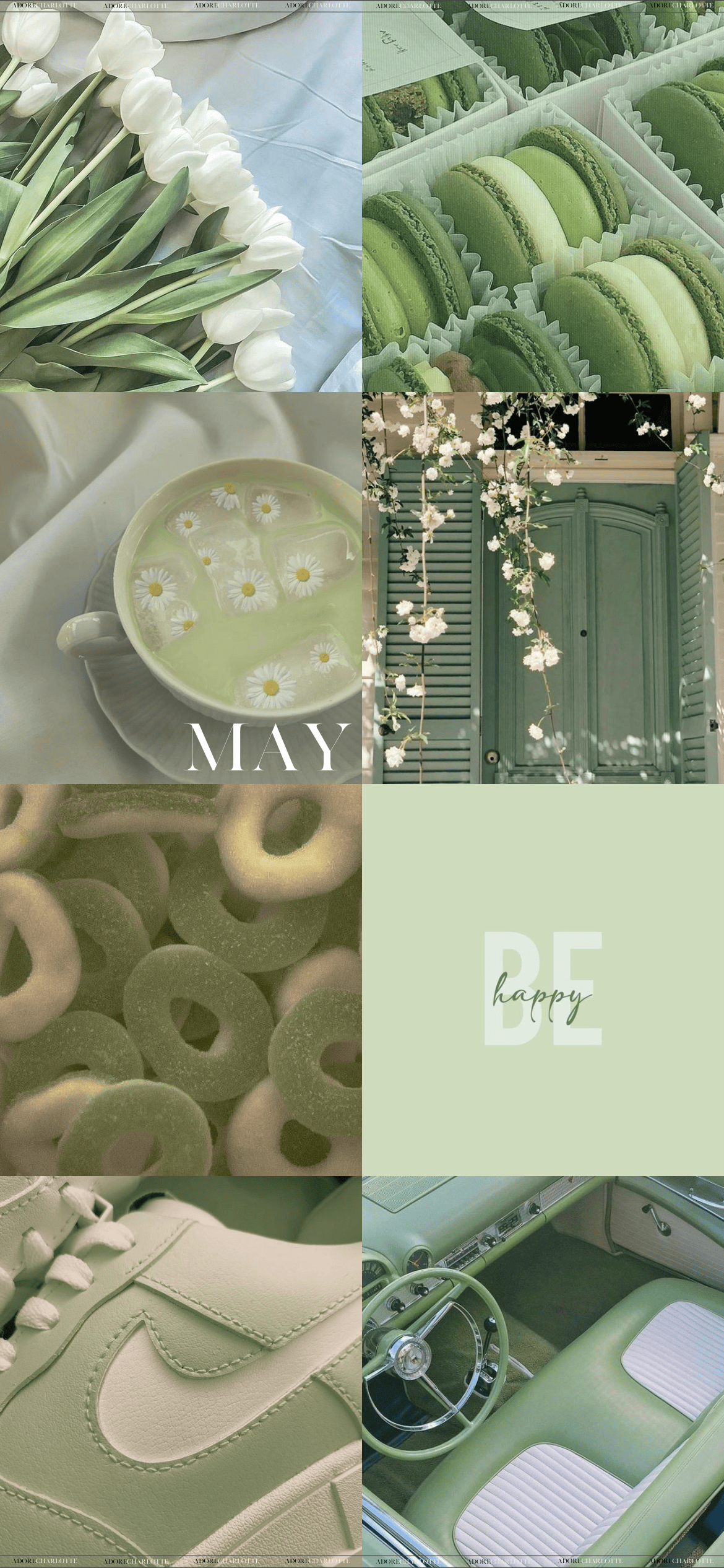 Aesthetic Sage Green Spring May 2024 Phone Wallpaper