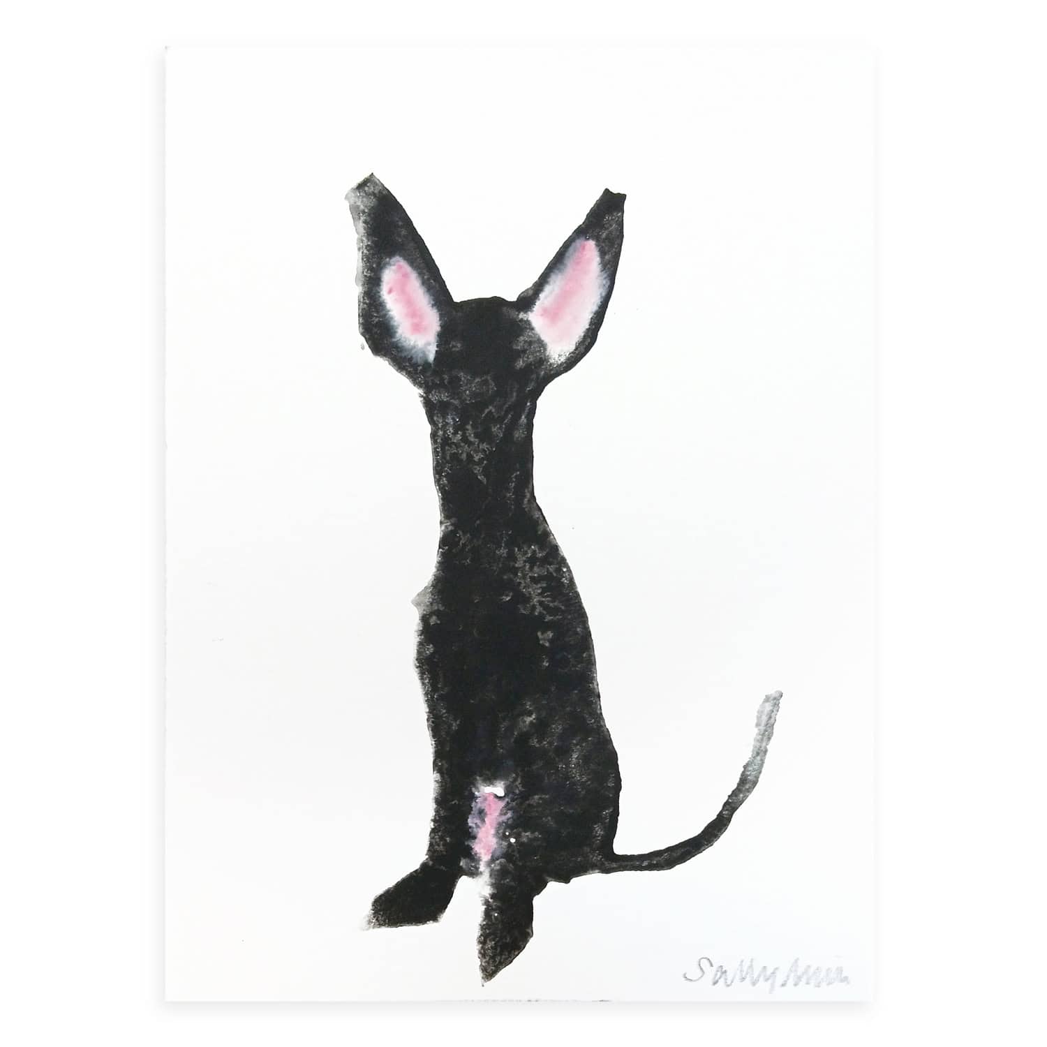 4703 Black Dog with Big Ears – Sally Muir