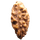 rudraksha