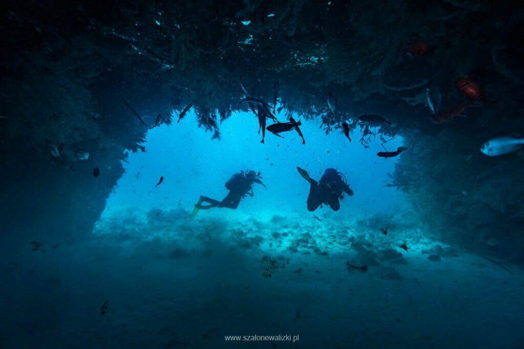 nurkowanie na cabo verde