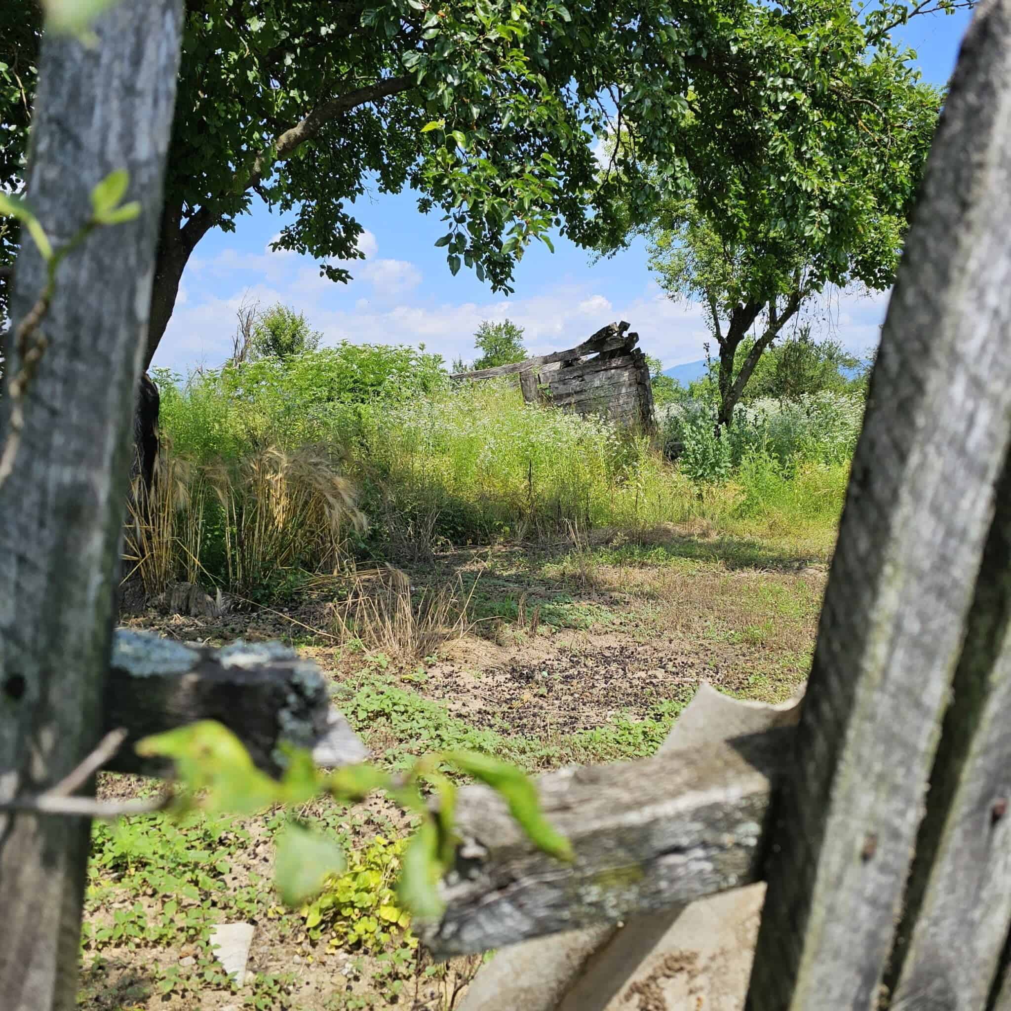 Hobița, ruinele casei (reale)a lui Brâncuși