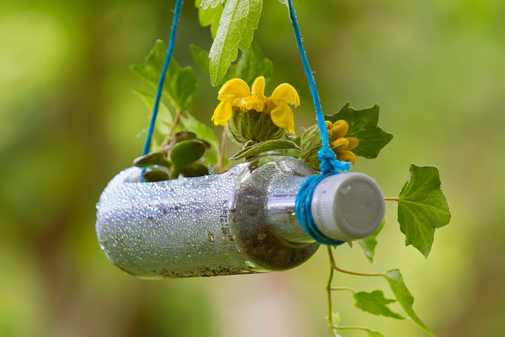 PET-Flasche als Blumenampel