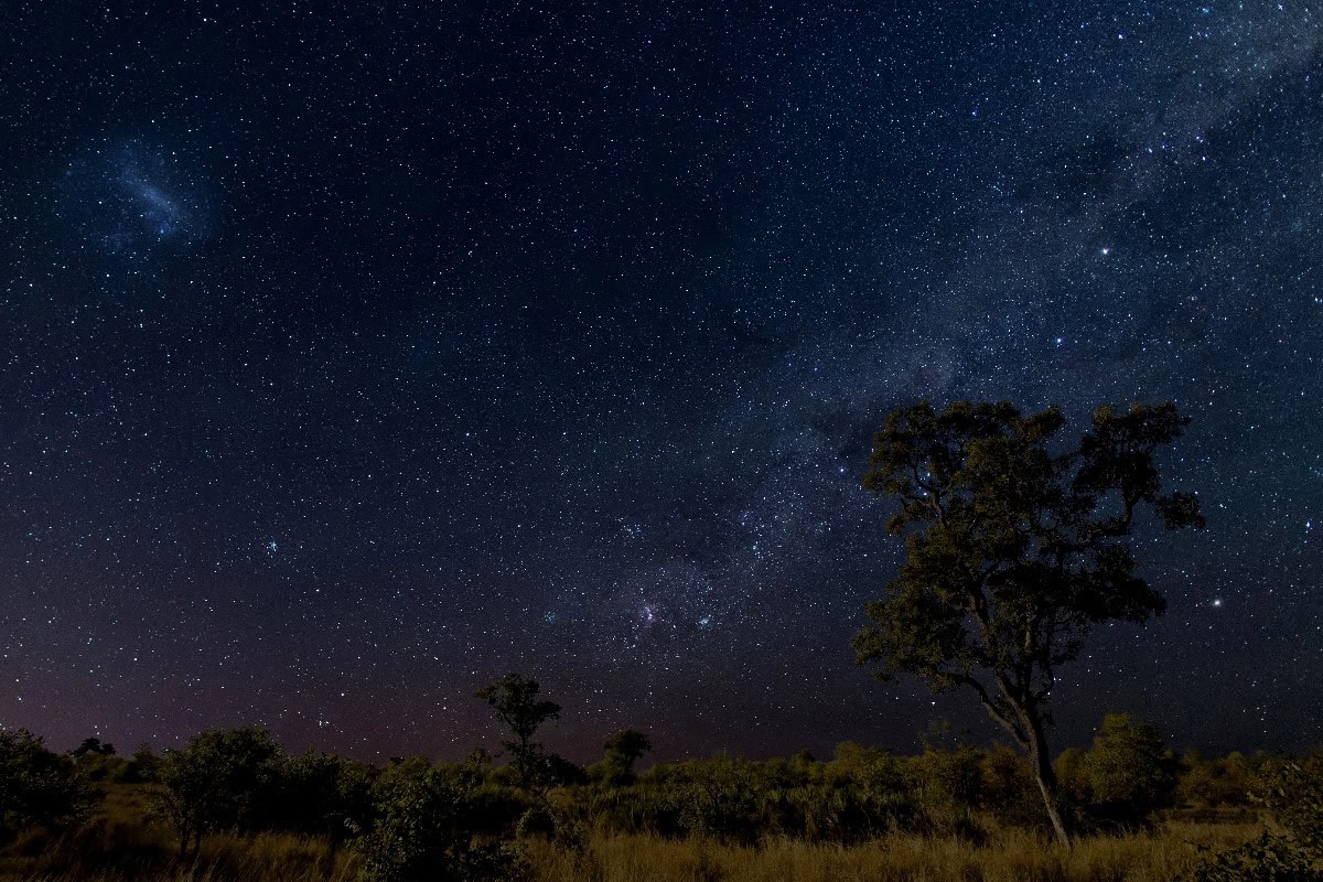 african safari aesthetic