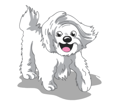 Ultimate off-leash puppy training minneapolis – go anywhere dog®