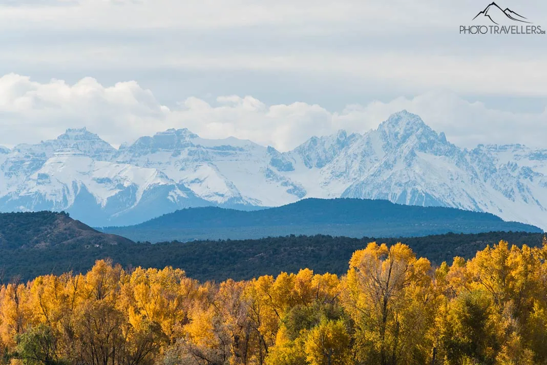 Gelbe Bäume und die schneebedeckten Rocky Mountains im Herbst in Colorado