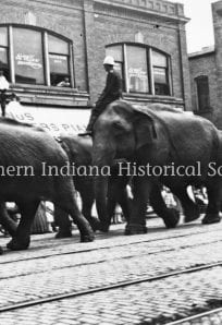 Ringling Bros Circus parade (elephants on Mich St) 1911 ph764 Elephants walking down a city street with city buildings and a sign for Indiana Film Picture Theater in background.