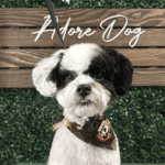 Puppy during training