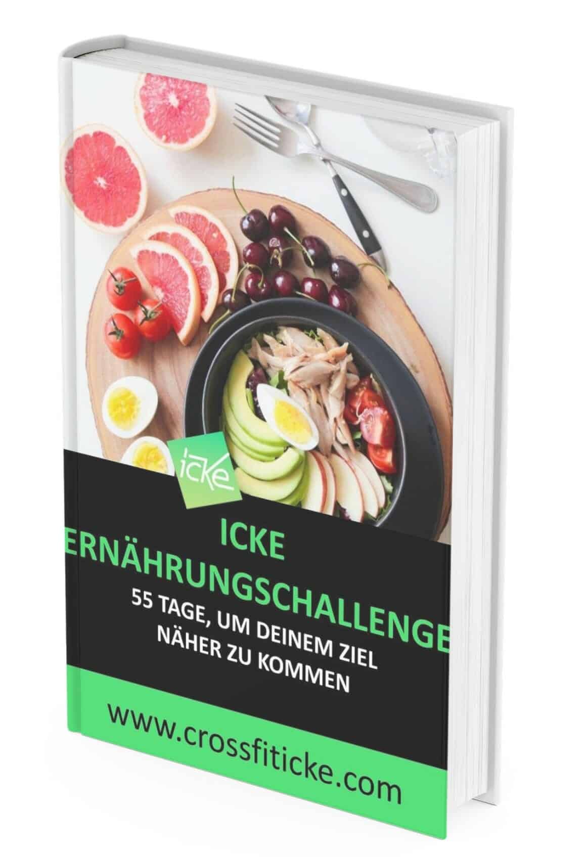 Icke Ernährungschallenge - 55 Tage Ernaehrungprogramm 2 Icke Ernährungschallenge - 55 Tage Ernaehrungprogramm 2