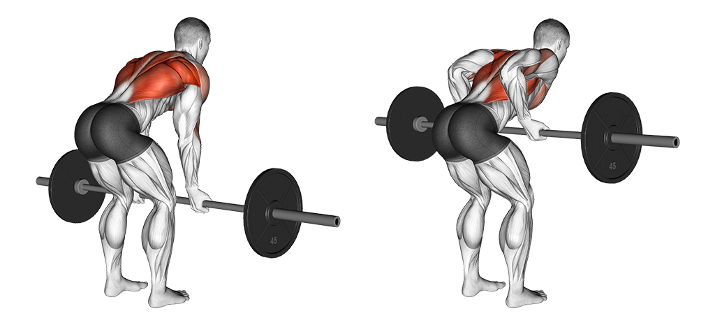 Reverse-Grip Bent-Over Row