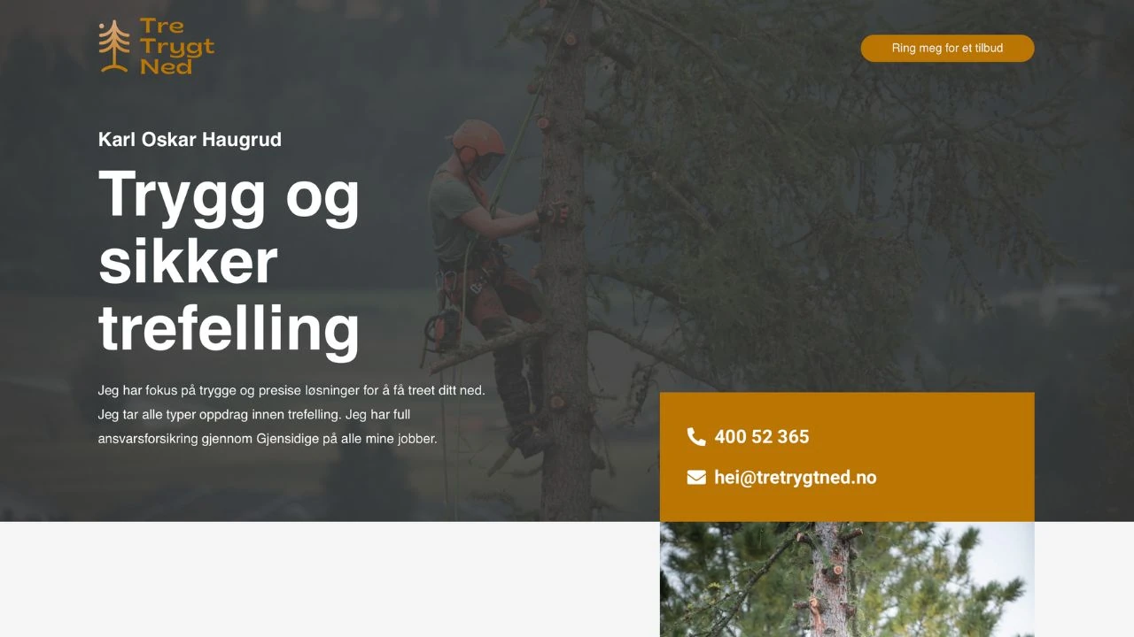 Referansebilde for Tretrygtned.no_