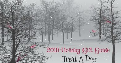 TADOG 2018 Holiday Gift Guide FI