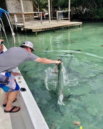 snorkeling tour ambergris caye belize
