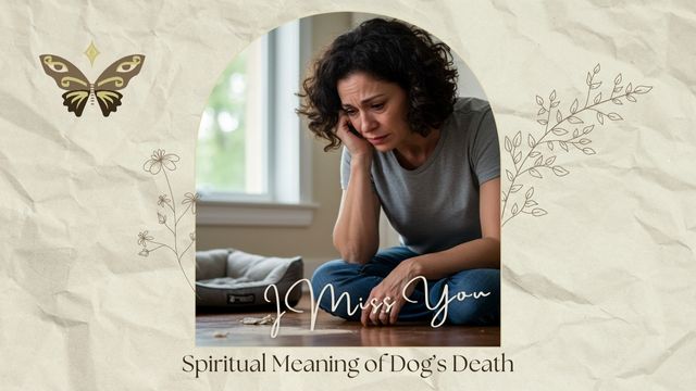 SPIRITUAL MEANING OF DOG DEATH: WHAT YOUR PET’S PASSING IS REALLY TRYING TO TELL YOU 3 understanding the deeper connection