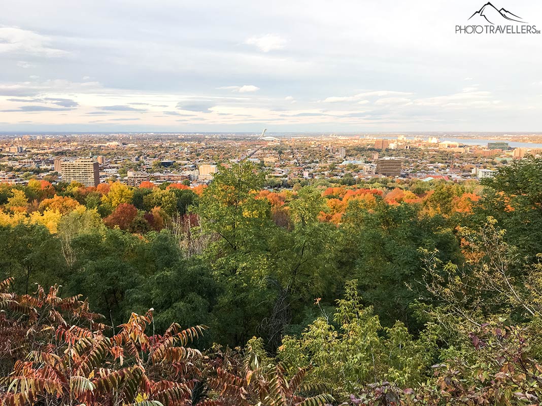 Blick vom Park Mont Royal