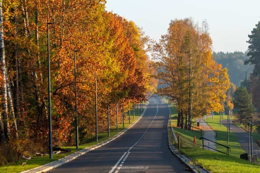 jesień