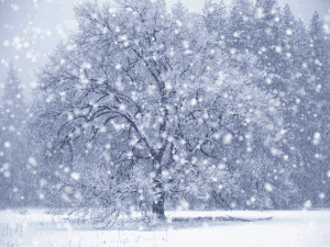 winter solstice