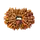 16 Mukhi Rudraksha