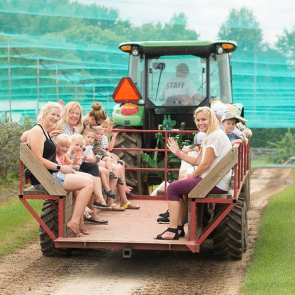 wagon rides to farm fields Wagon Rides to farm fields