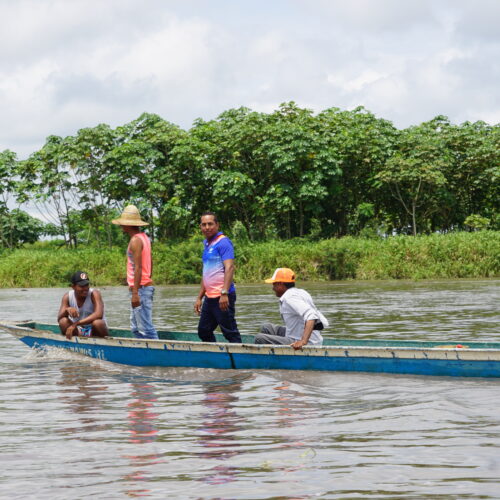 Erhalt der Fischbestände am Río Magdalena